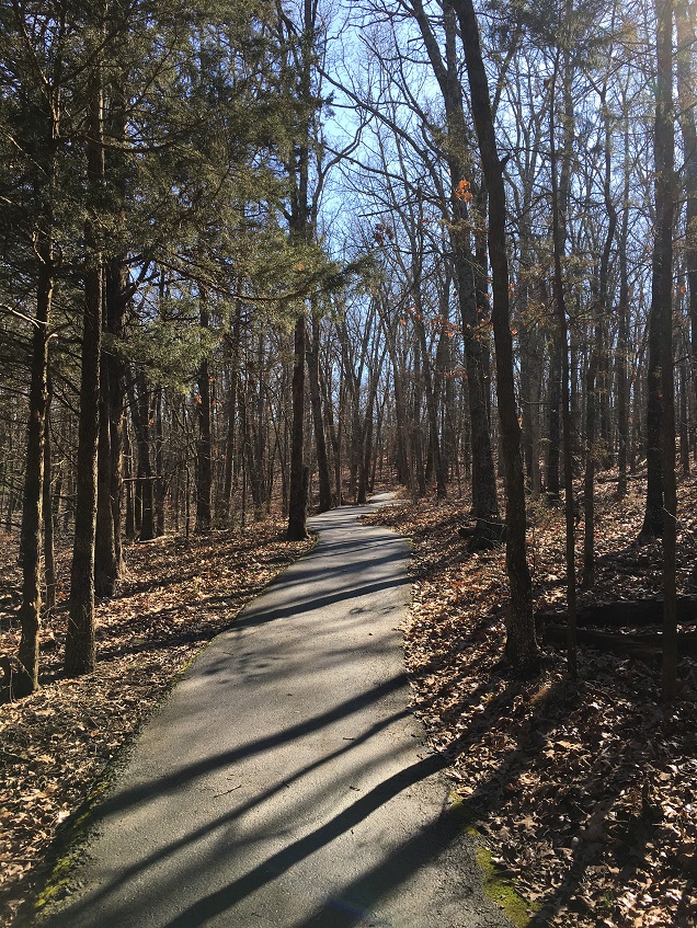 Paved hiking trail at Henning Conservation Area in branson