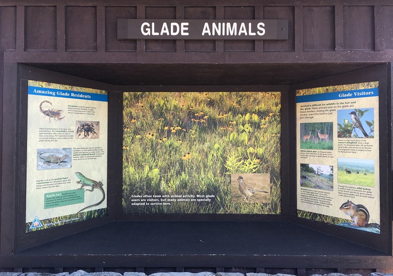 Glade Animals