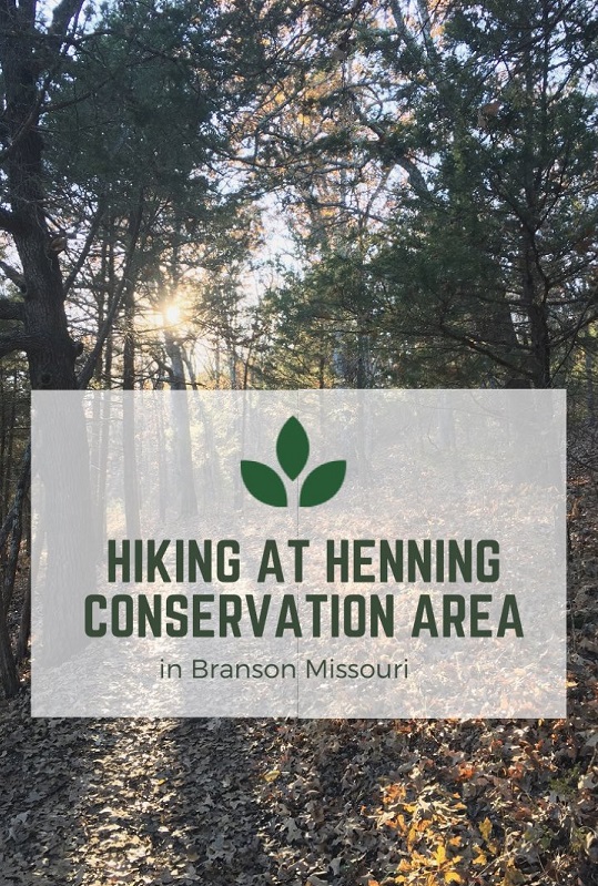 Hiking Trails at Henning Conservation Area in Branson