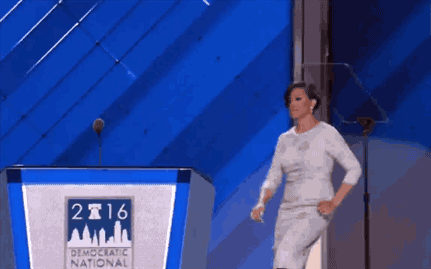 dnc-gavel