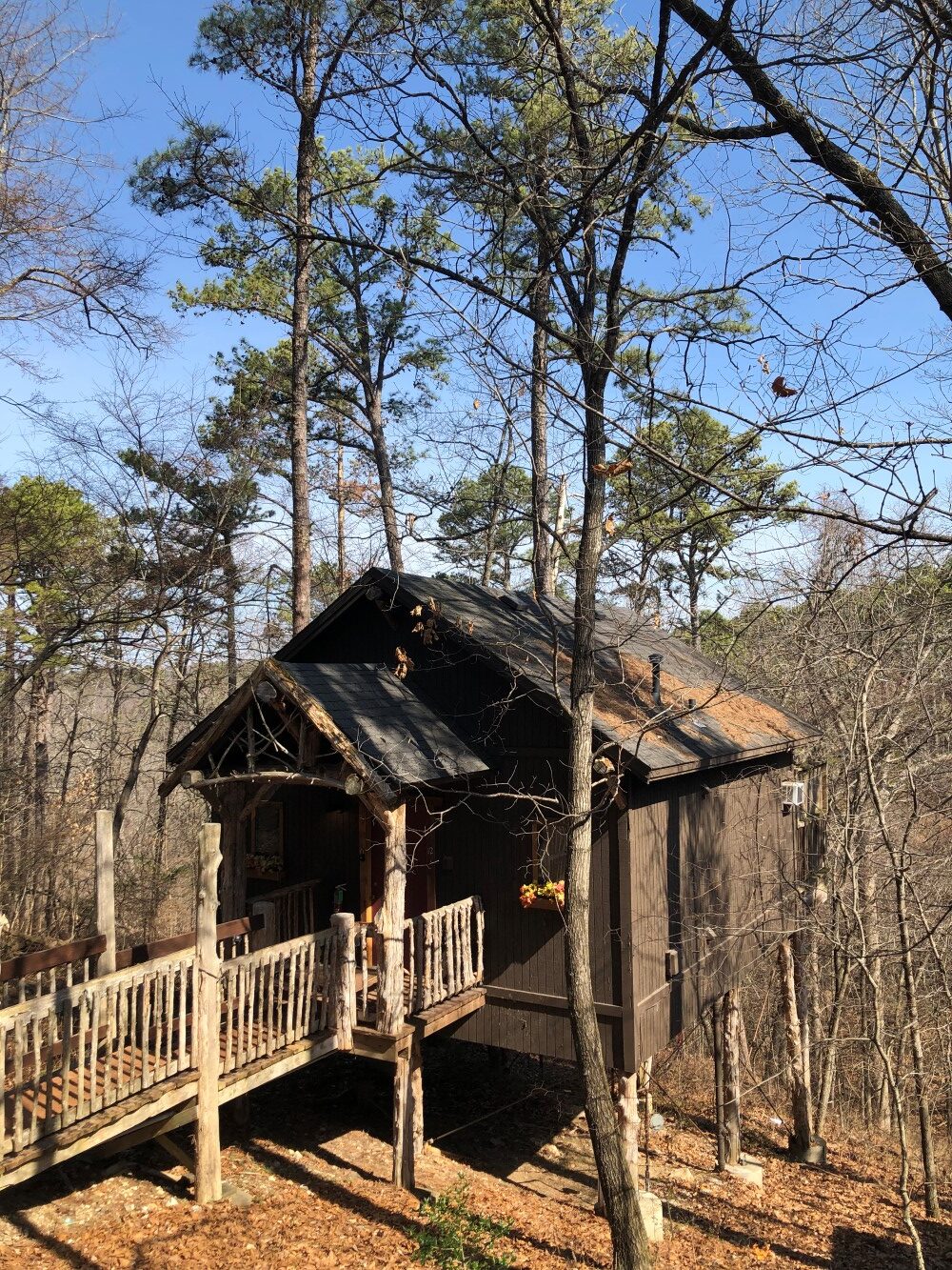 Treehouse cabins in Arkansas
