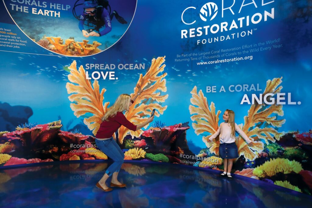 Coral Restoration at Branson Aquarium
