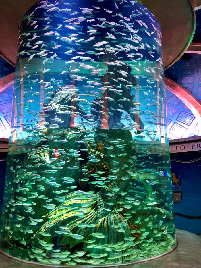 Branson Boardwalk Inside Aquarium Sardines