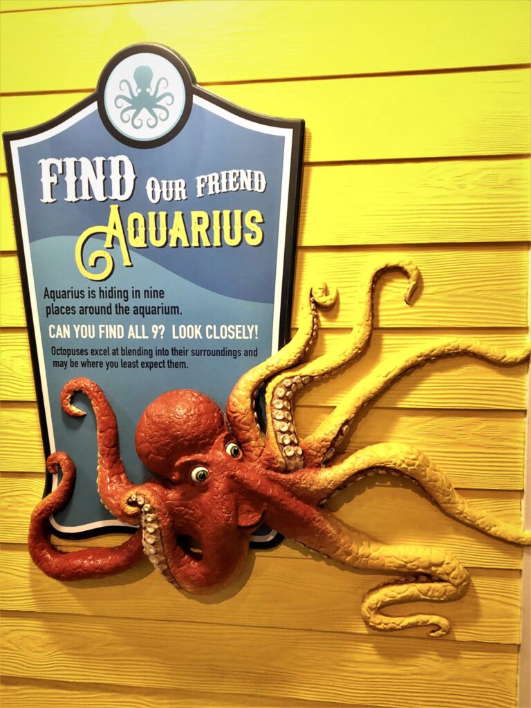 The Branson Aquarium at the Boardwalk Branson Aquarium Review and