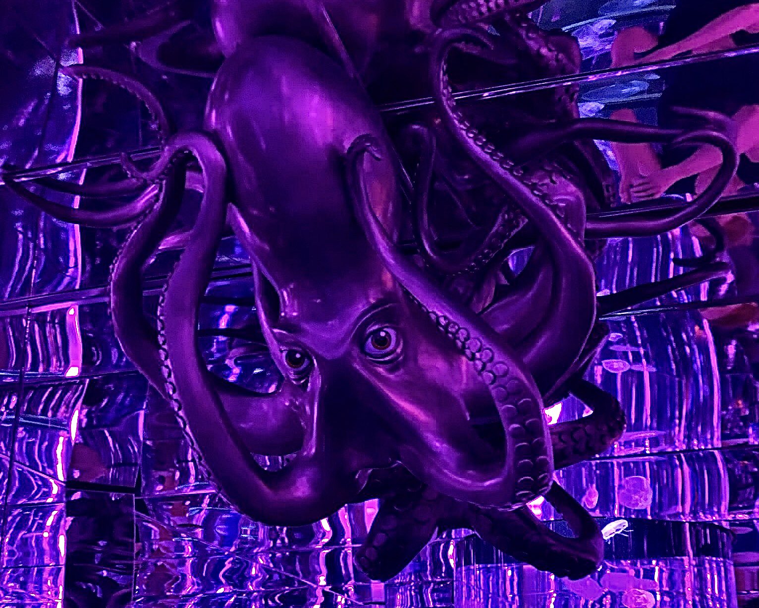 Aquarium in Branson Octopus Sculpture
